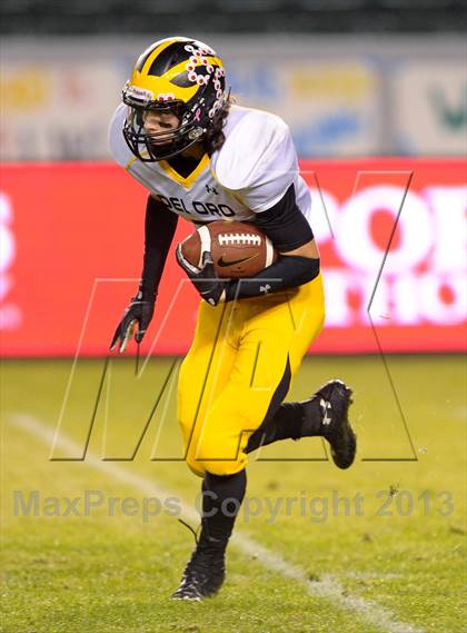 Thumbnail 1 in Del Oro vs. Bakersfield (CIF State D1 Final) photogallery.