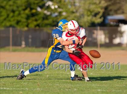 Thumbnail 3 in Ripon @ Linden photogallery.