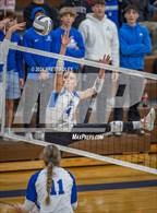 Photo from the gallery "Marian @ Lincoln East"