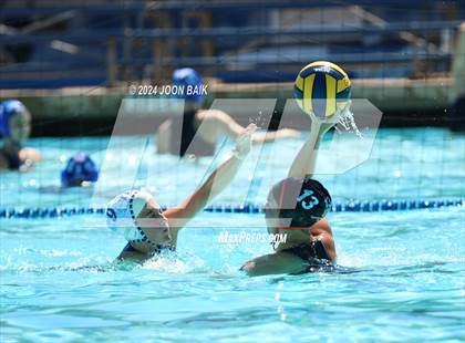 Thumbnail 2 in Tamalpais vs Washington (Acalanes Invitational) photogallery.