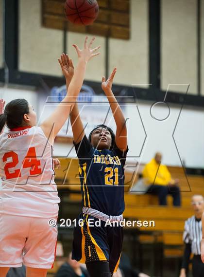 Thumbnail 3 in Inderkum @ Woodland photogallery.