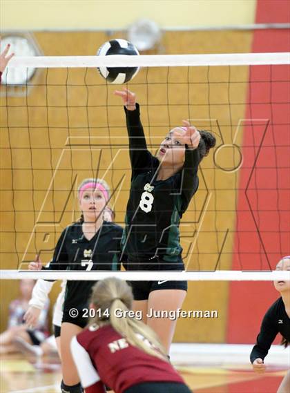 Thumbnail 1 in Maria Carrillo @ Cardinal Newman photogallery.