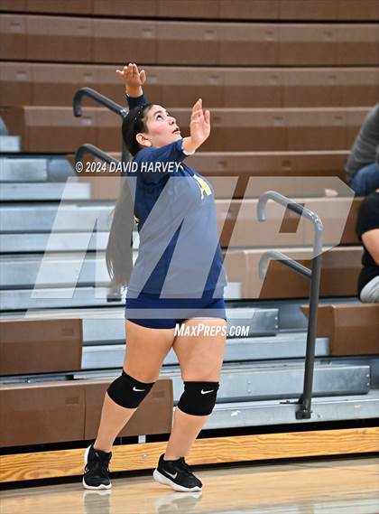 Thumbnail 1 in Fredrick vs Thomas Jefferson photogallery.