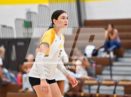 Thumbnail 2 in Fredrick vs Thomas Jefferson photogallery.