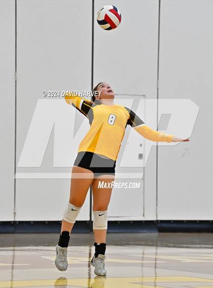 Thumbnail 2 in Fredrick vs Thomas Jefferson photogallery.