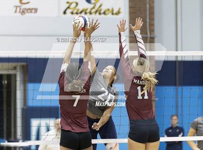 Thumbnail 3 in Belleville West vs. O'Fallon (IHSA 4A girls sectional) photogallery.