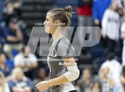 Thumbnail 3 in Belleville West vs. O'Fallon (IHSA 4A girls sectional) photogallery.