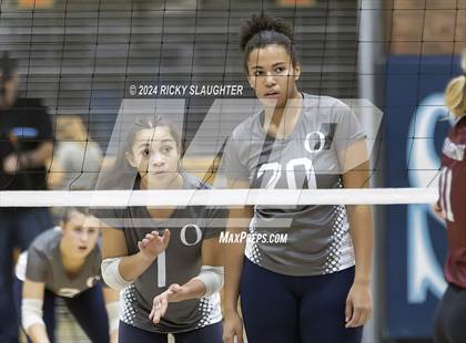 Thumbnail 3 in Belleville West vs. O'Fallon (IHSA 4A girls sectional) photogallery.