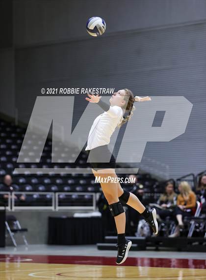 Thumbnail 2 in Bushland vs. Gunter (UIL Volleyball 3A Finals) photogallery.