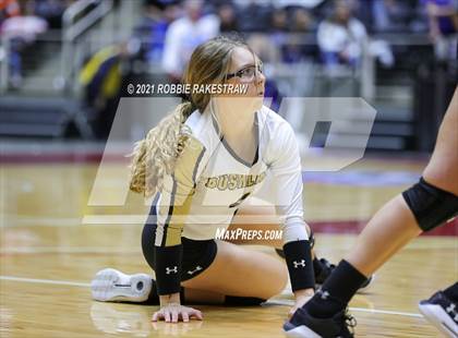 Thumbnail 3 in Bushland vs. Gunter (UIL Volleyball 3A Finals) photogallery.