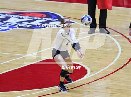 Thumbnail 3 in Bushland vs. Gunter (UIL Volleyball 3A Finals) photogallery.