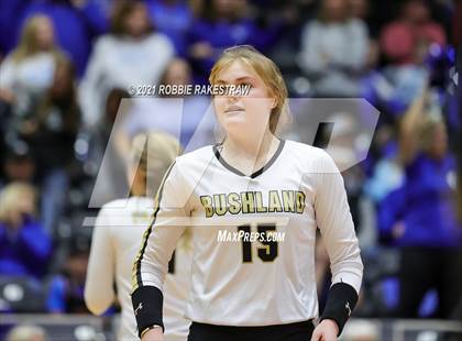 Thumbnail 2 in Bushland vs. Gunter (UIL Volleyball 3A Finals) photogallery.