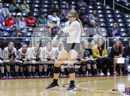 Thumbnail 3 in Bushland vs. Gunter (UIL Volleyball 3A Finals) photogallery.