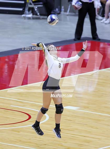 Thumbnail 1 in Bushland vs. Gunter (UIL Volleyball 3A Finals) photogallery.