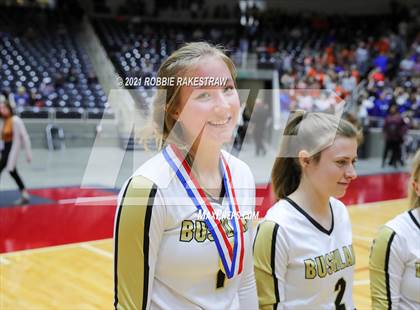 Thumbnail 2 in Bushland vs. Gunter (UIL Volleyball 3A Finals) photogallery.