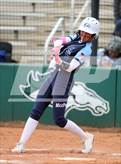 Photo from the gallery "Skyview @ Eagle"