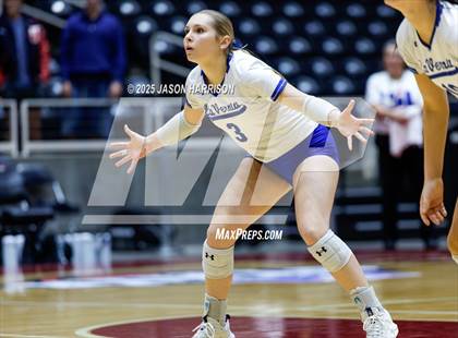 Thumbnail 3 in La Vernia vs. Decatur (UIL 4A D1 Volleyball Final) photogallery.