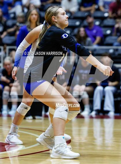 Thumbnail 1 in La Vernia vs. Decatur (UIL 4A D1 Volleyball Final) photogallery.
