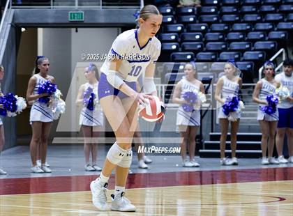Thumbnail 1 in La Vernia vs. Decatur (UIL 4A D1 Volleyball Final) photogallery.