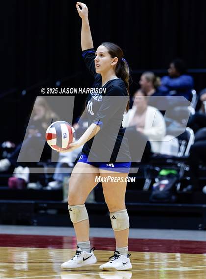 Thumbnail 3 in La Vernia vs. Decatur (UIL 4A D1 Volleyball Final) photogallery.