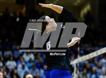 Thumbnail 1 in La Vernia vs. Decatur (UIL 4A D1 Volleyball Final) photogallery.