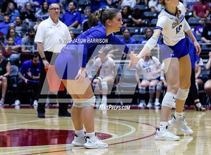 Thumbnail 3 in La Vernia vs. Decatur (UIL 4A D1 Volleyball Final) photogallery.