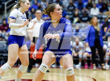 Thumbnail 2 in La Vernia vs. Decatur (UIL 4A D1 Volleyball Final) photogallery.