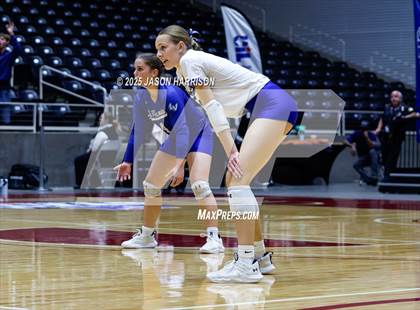Thumbnail 1 in La Vernia vs. Decatur (UIL 4A D1 Volleyball Final) photogallery.
