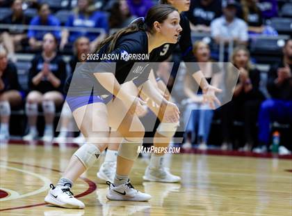 Thumbnail 1 in La Vernia vs. Decatur (UIL 4A D1 Volleyball Final) photogallery.