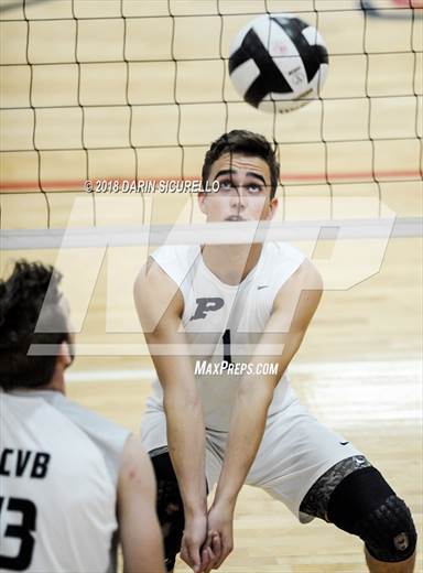 null - Photo 01