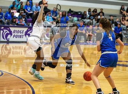 Thumbnail 2 in Clear Springs @ Ridge Point photogallery.