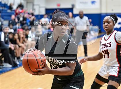 Thumbnail 3 in Langham Creek vs. Spring photogallery.