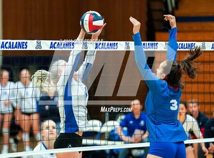 Thumbnail 2 in Acalanes vs. Tamalpais (CIF NCS D3 Semifinal) photogallery.