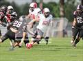Photo from the gallery "Eaglecrest @ Chatfield"