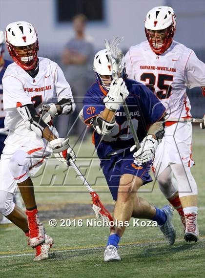Thumbnail 1 in Harvard-Westlake vs. Chaminade photogallery.