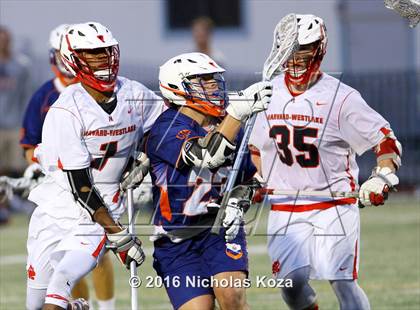 Thumbnail 2 in Harvard-Westlake vs. Chaminade photogallery.