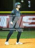 Photo from the gallery "Melbourne @ Satellite"