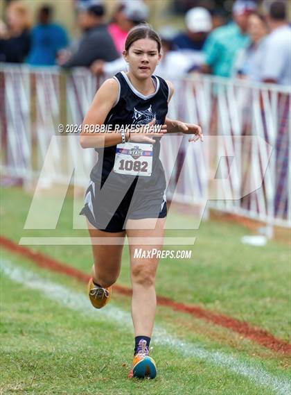 Thumbnail 2 in UIL Cross Country 1A Finals (3200m) photogallery.