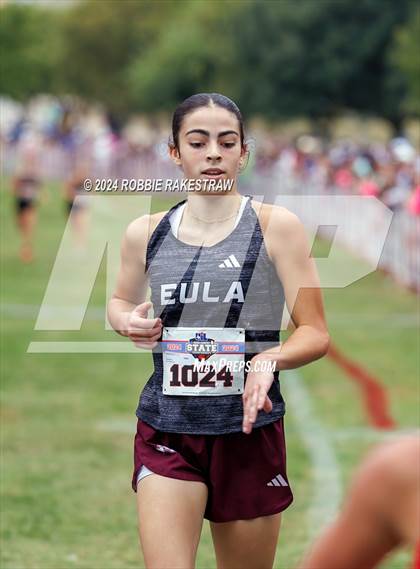 Thumbnail 3 in UIL Cross Country 1A Finals (3200m) photogallery.