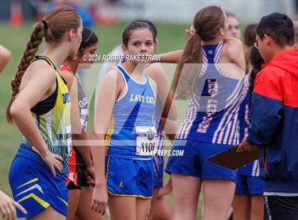 Thumbnail 2 in UIL Cross Country 1A Finals (3200m) photogallery.