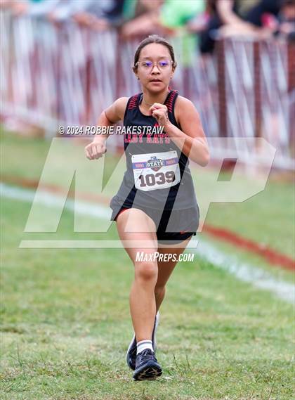 Thumbnail 2 in UIL Cross Country 1A Finals (3200m) photogallery.