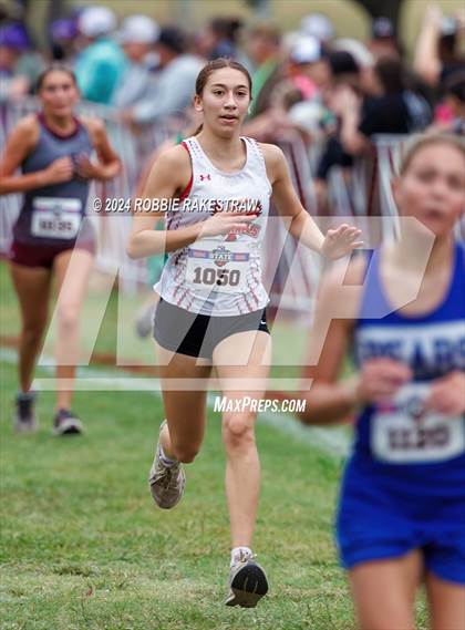 Thumbnail 2 in UIL Cross Country 1A Finals (3200m) photogallery.
