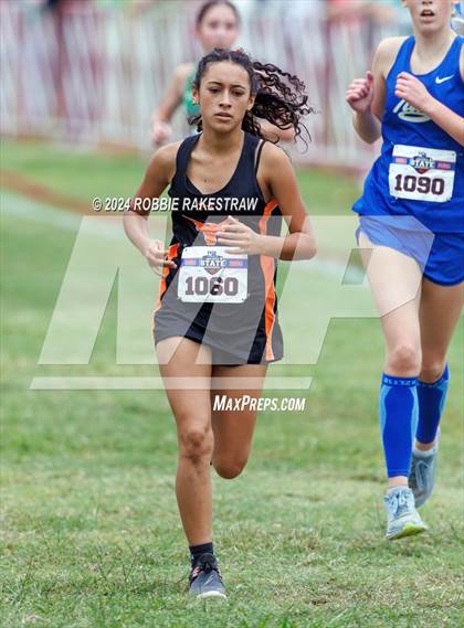 Thumbnail 2 in UIL Cross Country 1A Finals (3200m) photogallery.