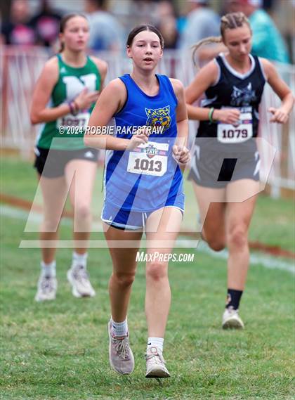 Thumbnail 2 in UIL Cross Country 1A Finals (3200m) photogallery.