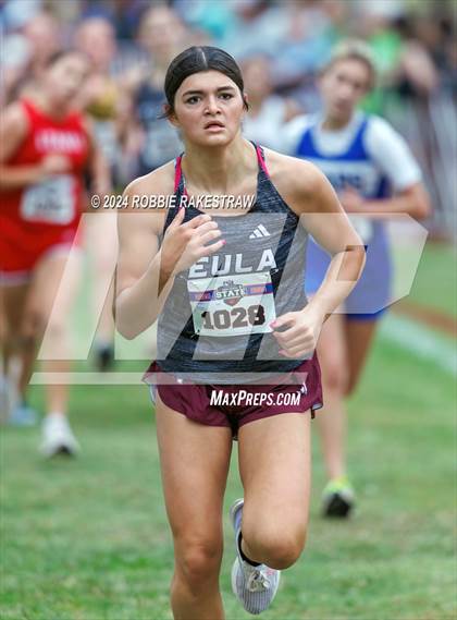 Thumbnail 1 in UIL Cross Country 1A Finals (3200m) photogallery.