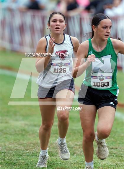 Thumbnail 1 in UIL Cross Country 1A Finals (3200m) photogallery.