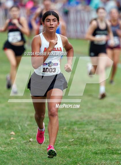 Thumbnail 1 in UIL Cross Country 1A Finals (3200m) photogallery.
