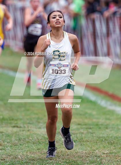Thumbnail 3 in UIL Cross Country 1A Finals (3200m) photogallery.
