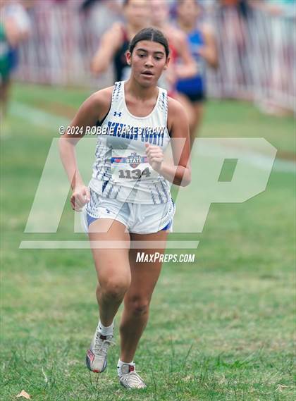 Thumbnail 2 in UIL Cross Country 1A Finals (3200m) photogallery.