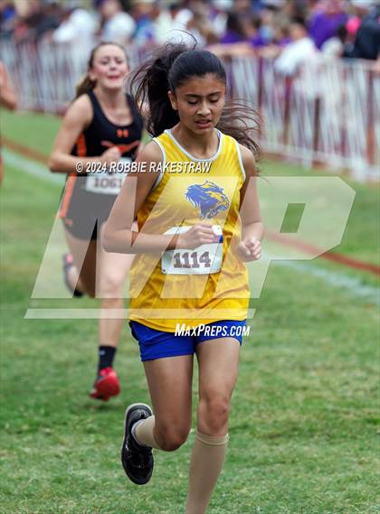 Thumbnail 2 in UIL Cross Country 1A Finals (3200m) photogallery.